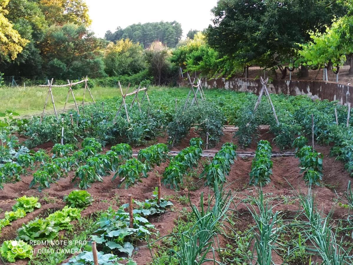 Finca Vergel Gata Zewnętrze zdjęcie