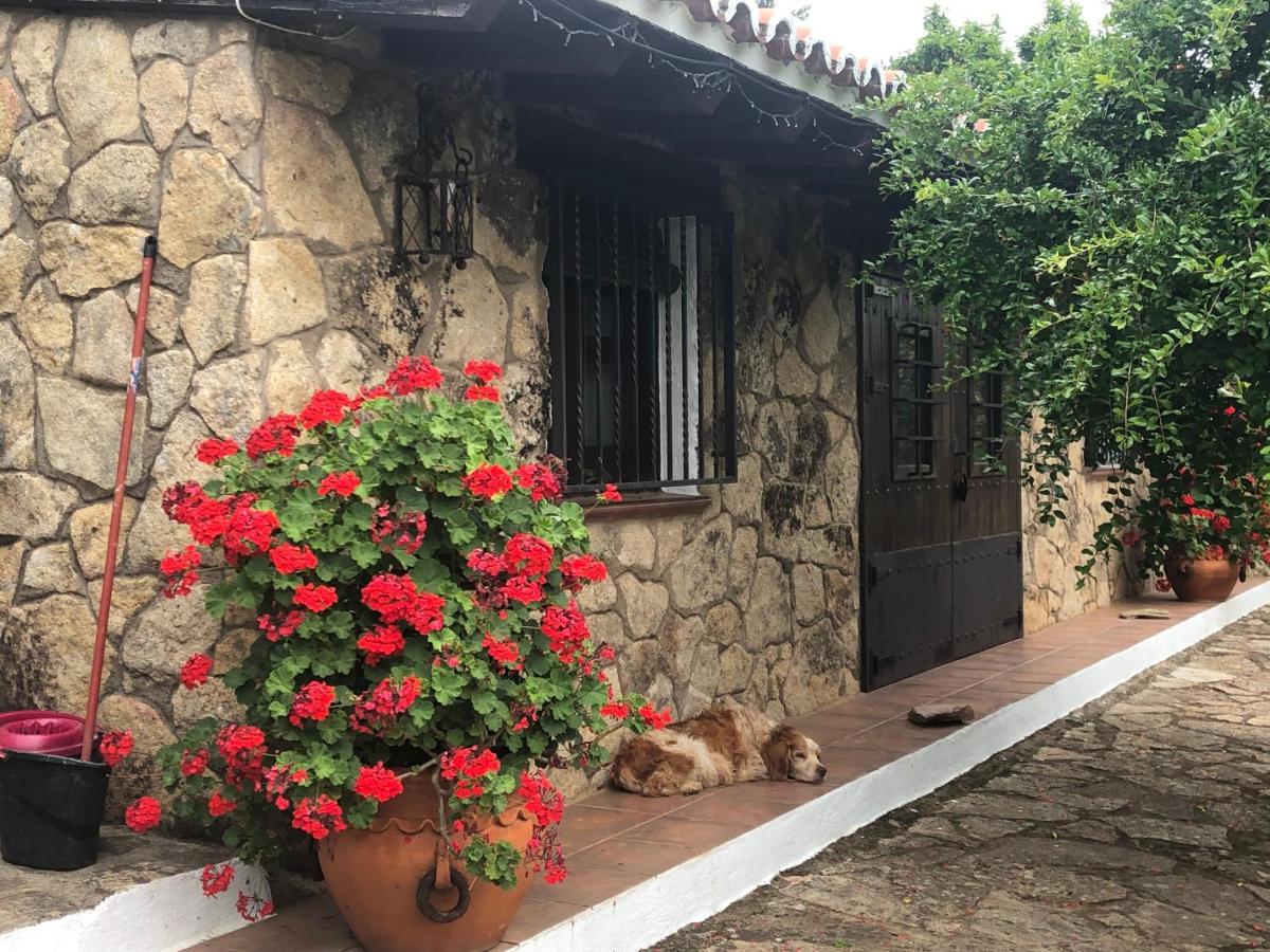 Finca Vergel Gata Zewnętrze zdjęcie