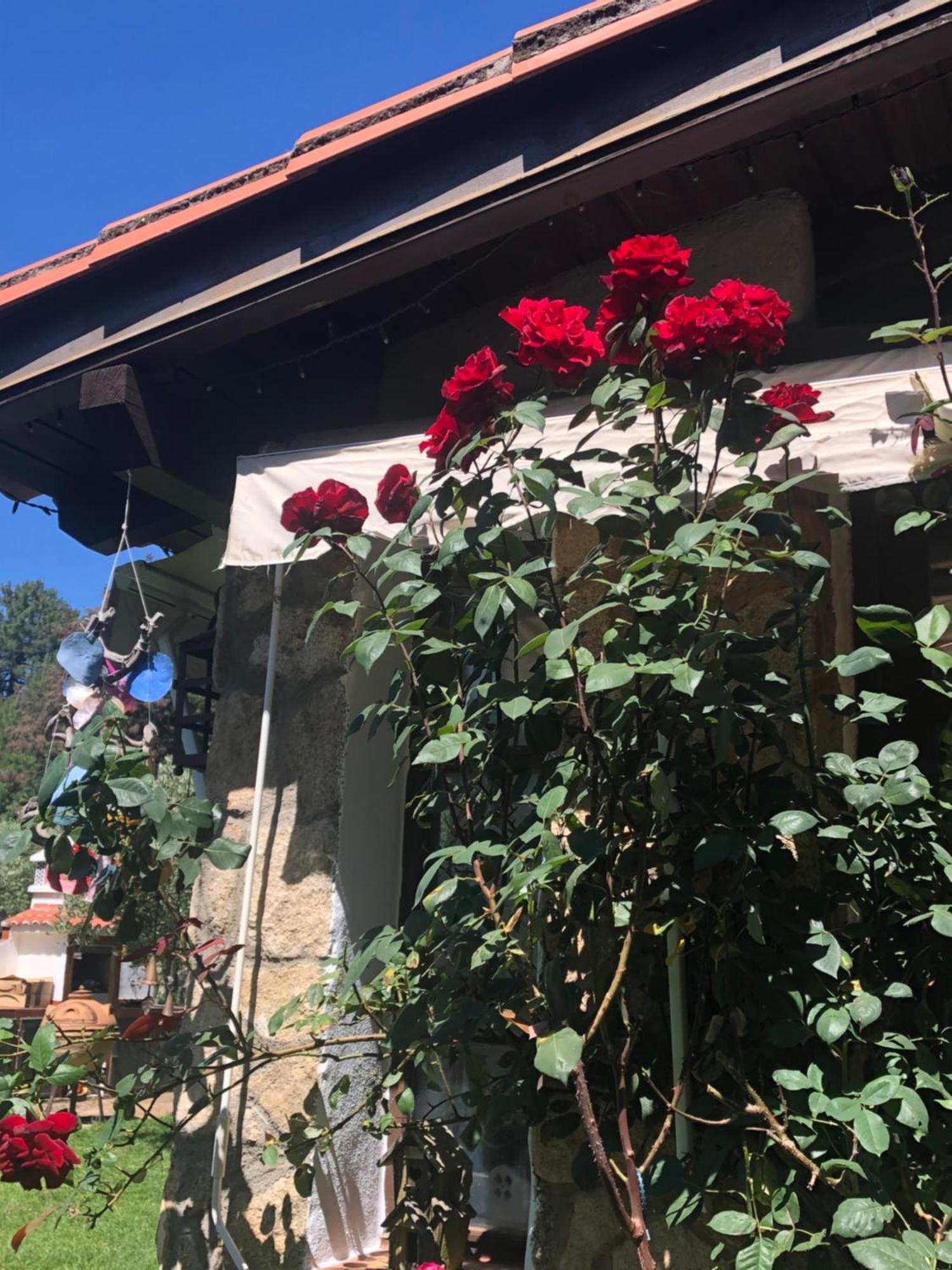 Finca Vergel Gata Zewnętrze zdjęcie